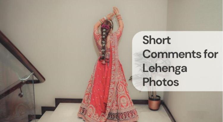 Short comments for lehenga photos Short comments for lehenga photos