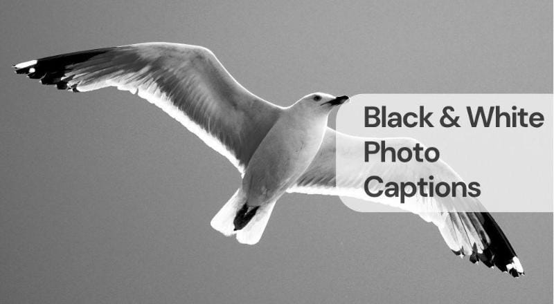 Black white photo captions Black & white photo captions