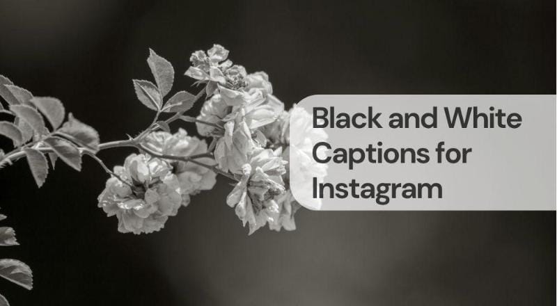 Black and white captions for instagram Black and white captions for instagram