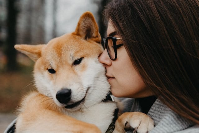 Instagram hashtags for pet reels Instagram hashtags for pet reels