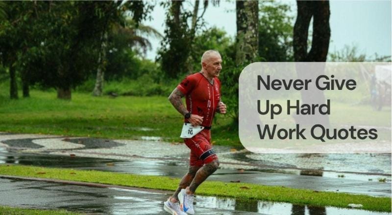 Never give up hard work quotes Never give up hard work quotes