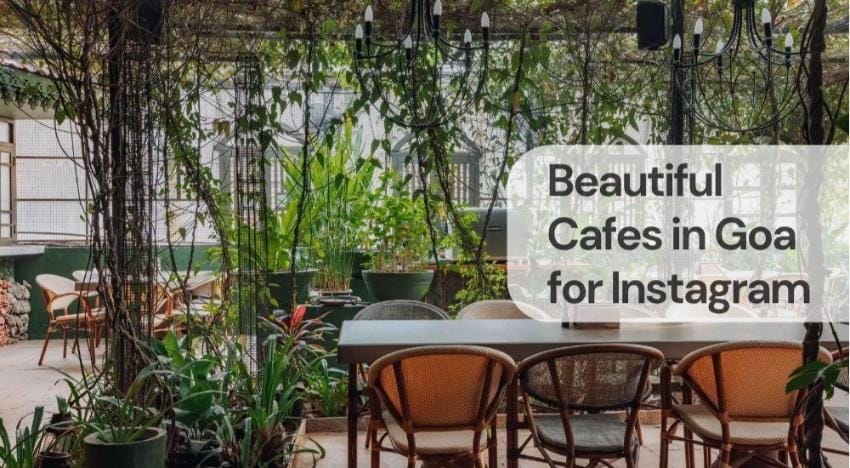 Beautiful cafes in goa for instagram Beautiful cafes in goa for instagram
