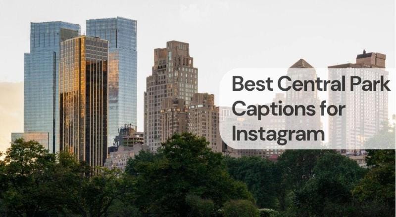 Best central park captions for instagram 1 Best central park captions for instagram