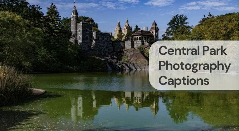 Central park photography captions 1 Central park photography captions