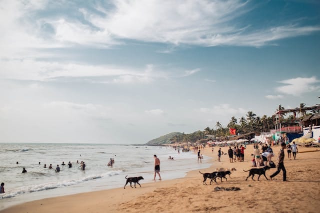 Crazy goa trip captions with friends