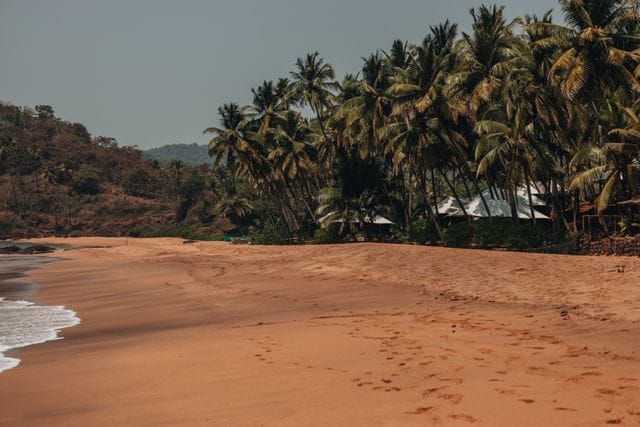 Friends goa beach photo comments Friends goa beach photo comments
