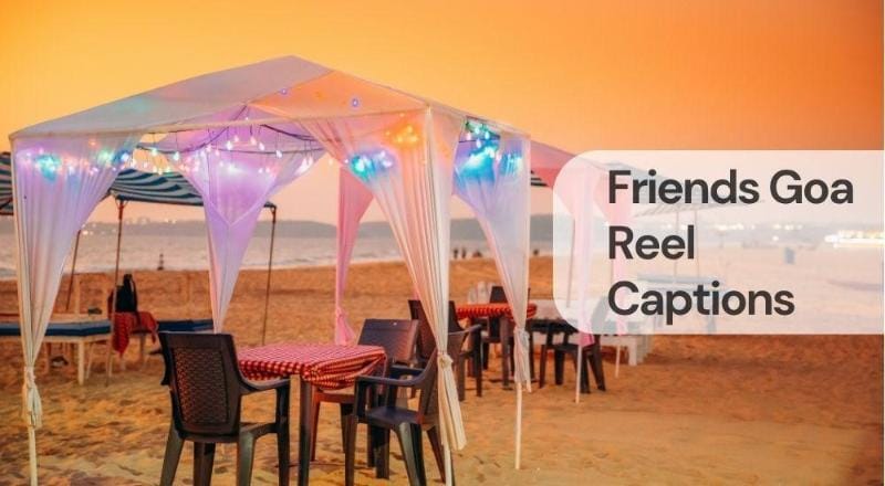 Friends goa reel captions Friends goa reel captions