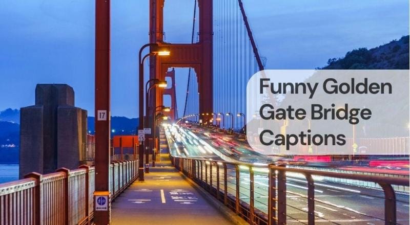 Funny golden gate bridge captions