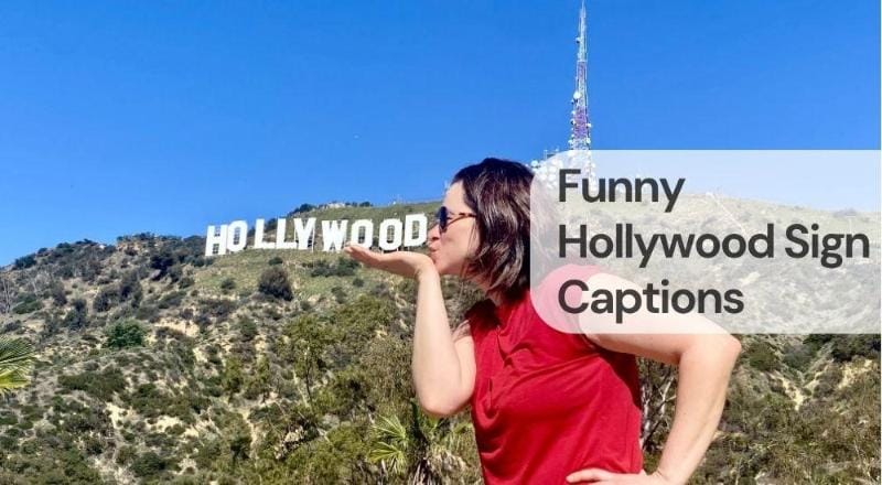 Funny hollywood sign captions Funny hollywood sign captions