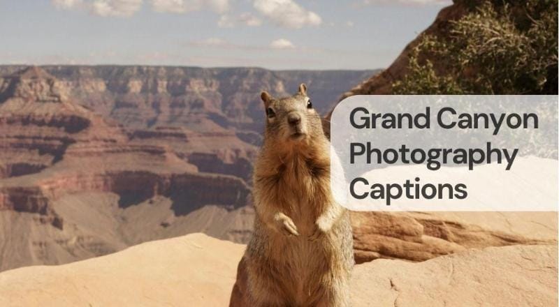 Grand canyon photography captions Grand canyon photography captions