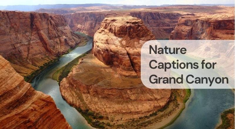 Nature captions for grand canyon Nature captions for grand canyon