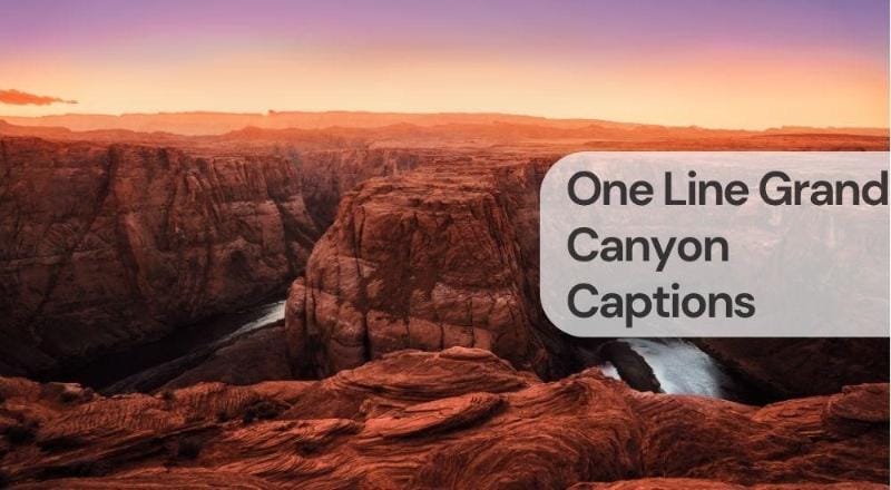 One line grand canyon captions One line grand canyon captions