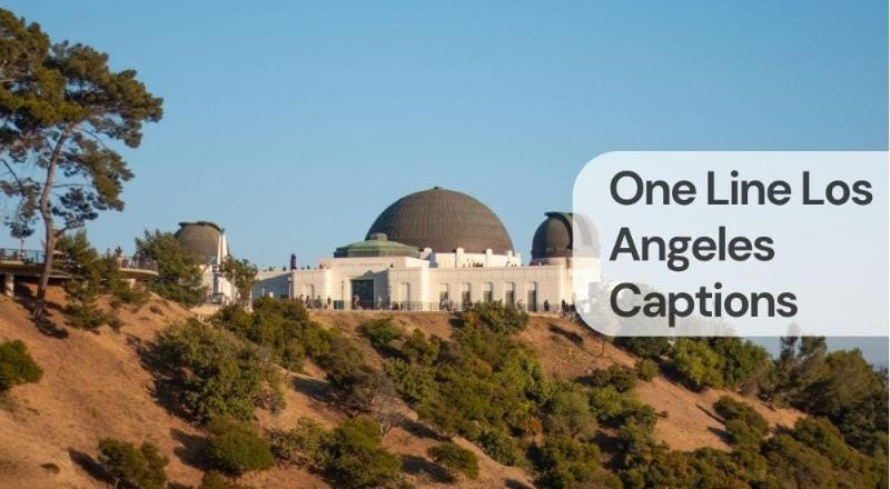 One line los angeles captions One line los angeles captions