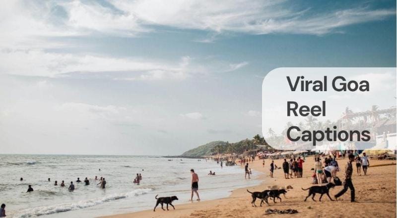 Viral goa reel captions Viral goa reel captions