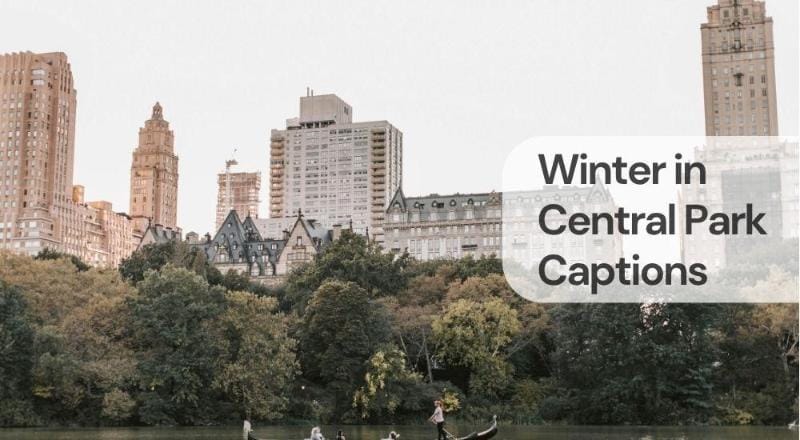 Winter in central park captions 1 Winter in central park captions