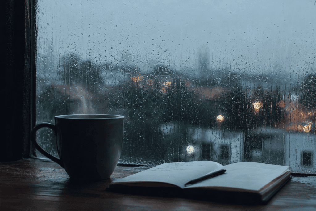 190 best rainy day quotes for instagram poetic reflective 190+ best rainy day quotes for instagram (poetic & reflective)
