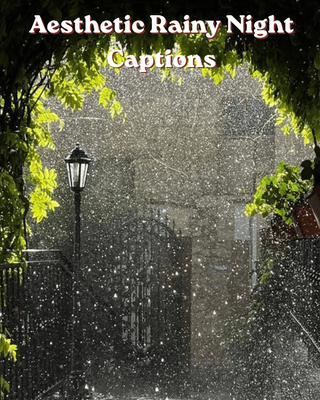 Aesthetic rainy night captions 1 Aesthetic rainy night captions