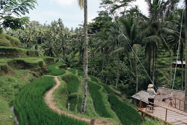 Bali swing captions to capture every sky high moment in paradise Bali swing captions to capture every sky high moment in paradise