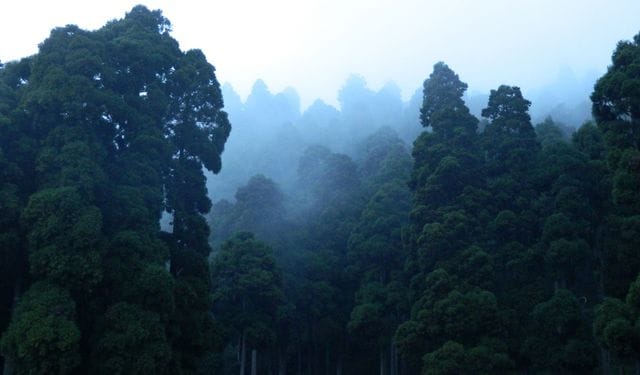 Beautiful hill station captions Beautiful hill station captions