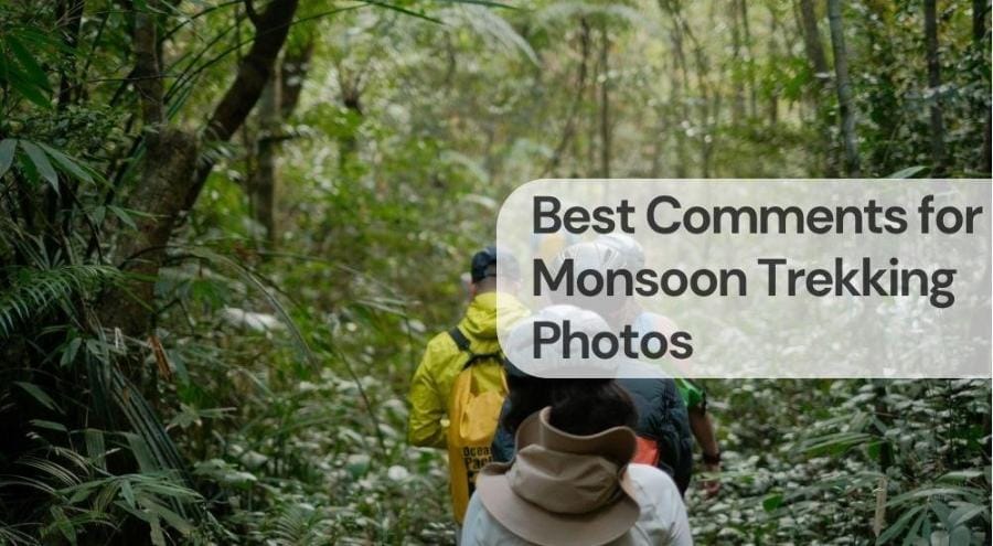 Best comments for monsoon trekking photos Best comments for monsoon trekking photos