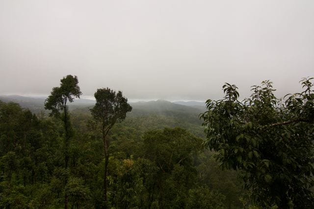 Best coorg captions for instagram