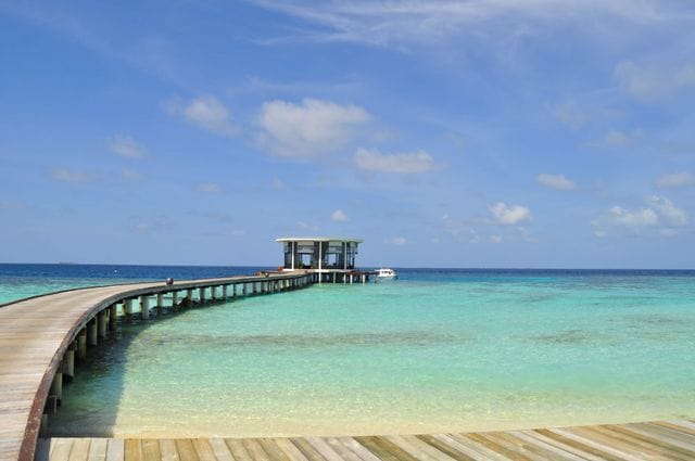 Best maldives captions for instagram beach vibes Best maldives captions for instagram (beach vibes)