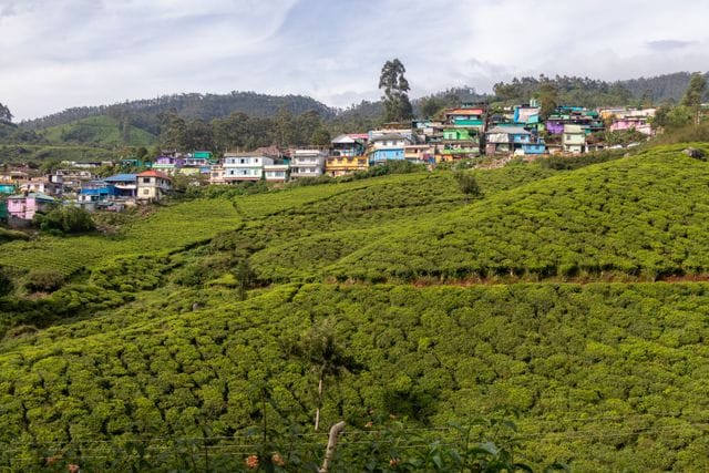 Best munnar captions for instagram