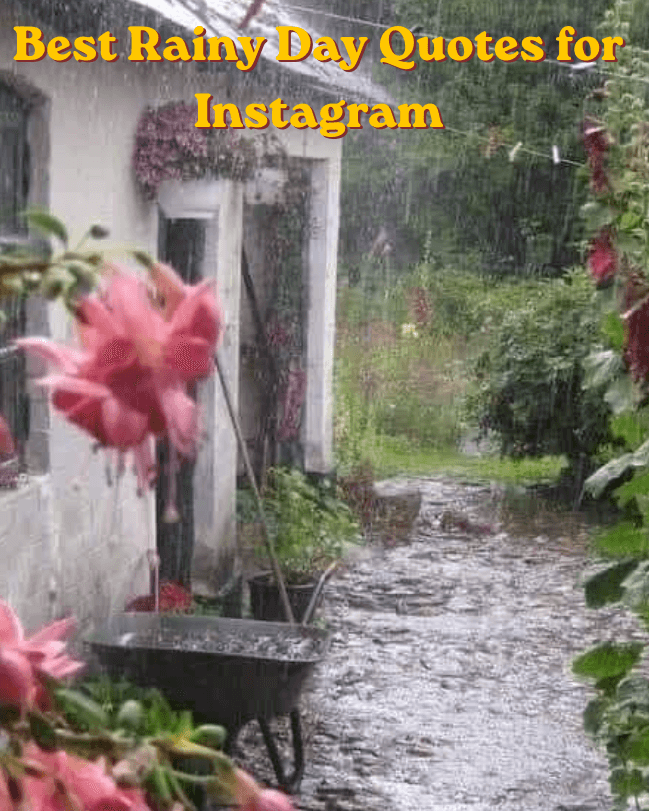 Best rainy day quotes for instagram 1 Best rainy day quotes for instagram