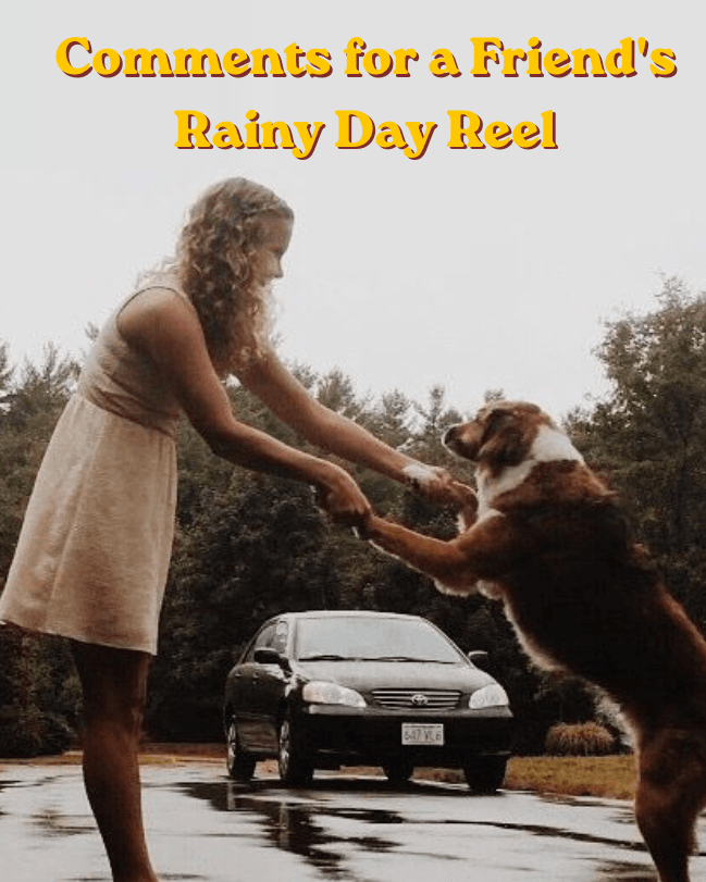 Comments for a friend's rainy day pet post