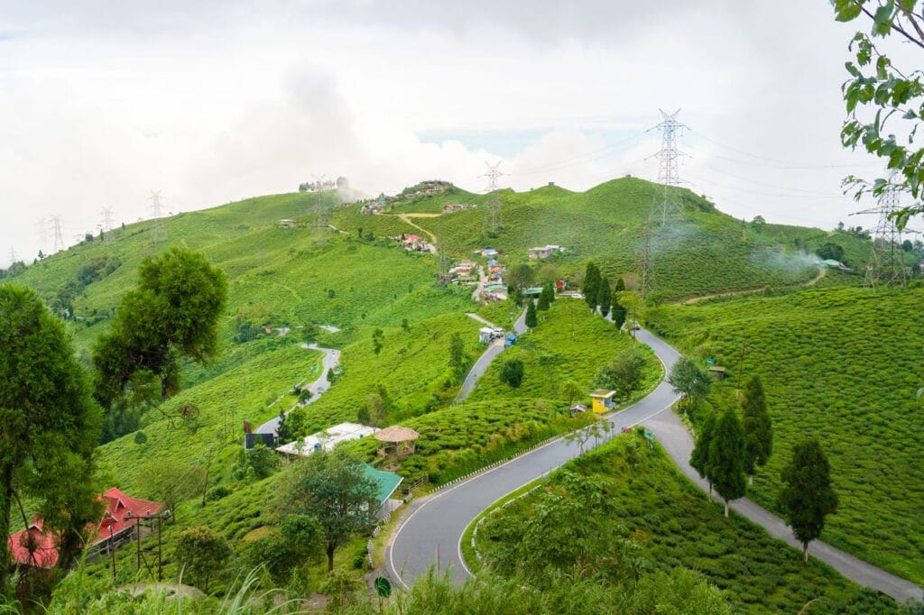 Darjeeling captions for instagram Darjeeling captions for instagram