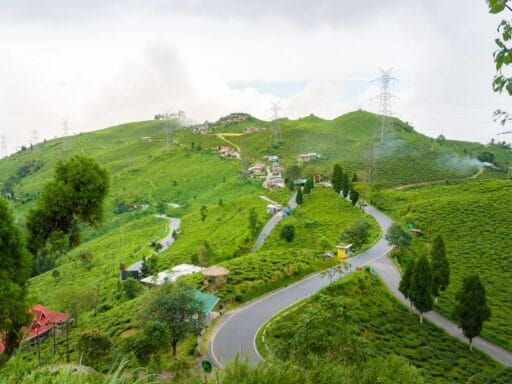 Darjeeling captions for instagram