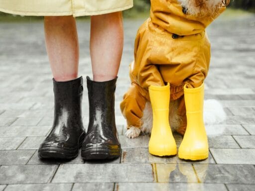 Good monsoon outfit captions Good monsoon outfit captions