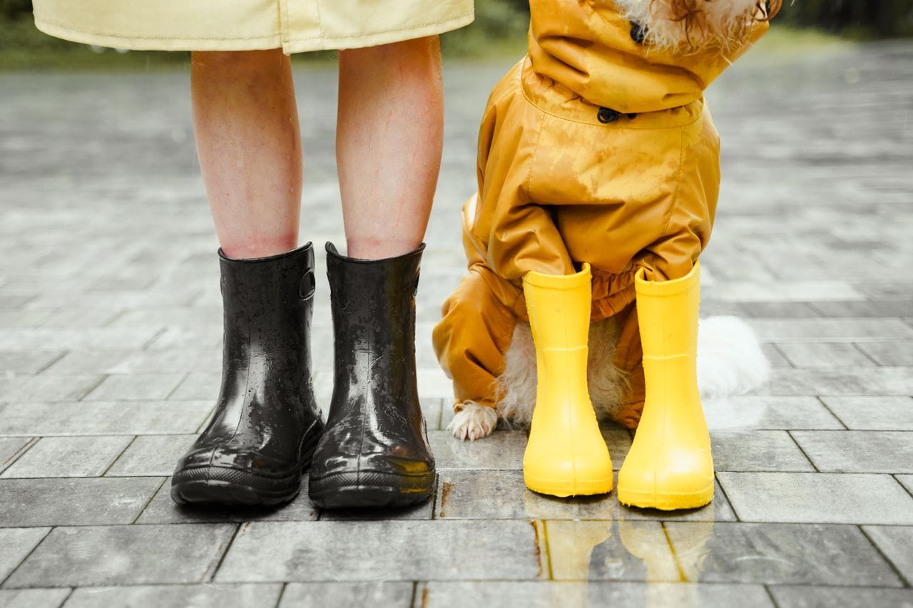 Good monsoon outfit captions