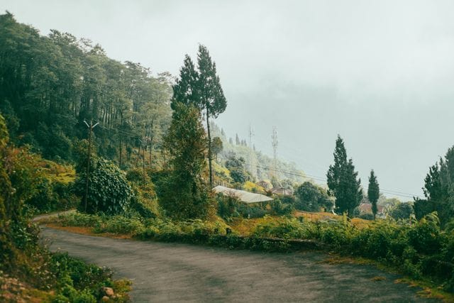 Instagram captions for darjeeling photos Instagram captions for darjeeling photos