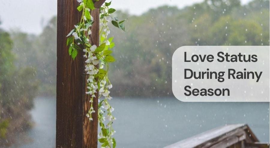 Love status during rainy season