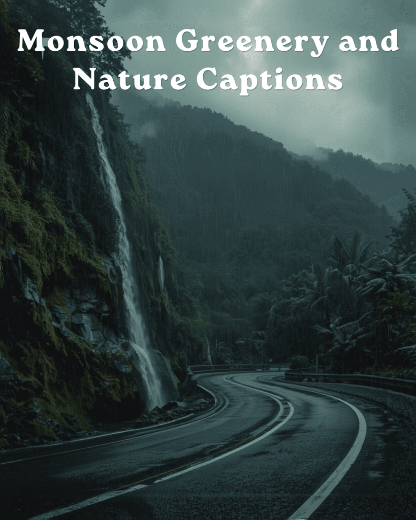 Monsoon greenery and nature captions 1 Monsoon greenery and nature captions