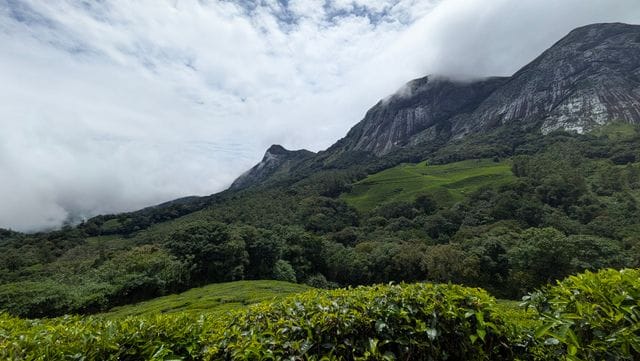 Mountain captions for munnar