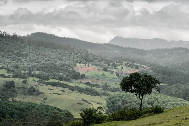 Mountain captions for ooty