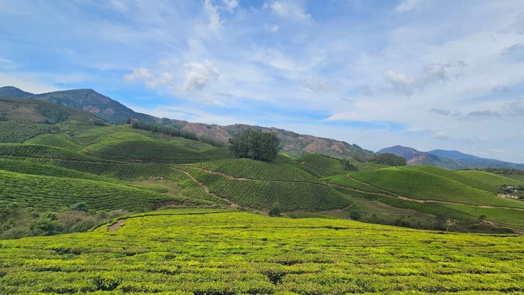 Munnar captions for instagram