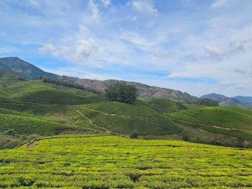 Munnar captions for instagram