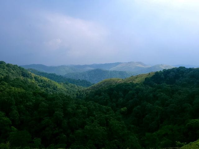 Nature captions for coorg