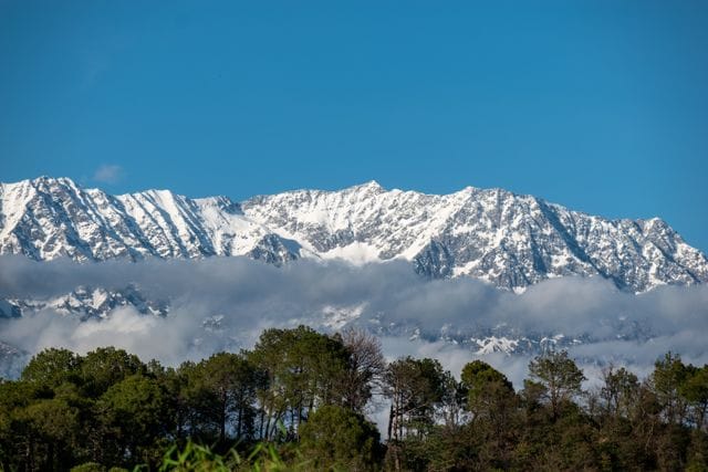 Nature captions for dharamshala Nature captions for dharamshala