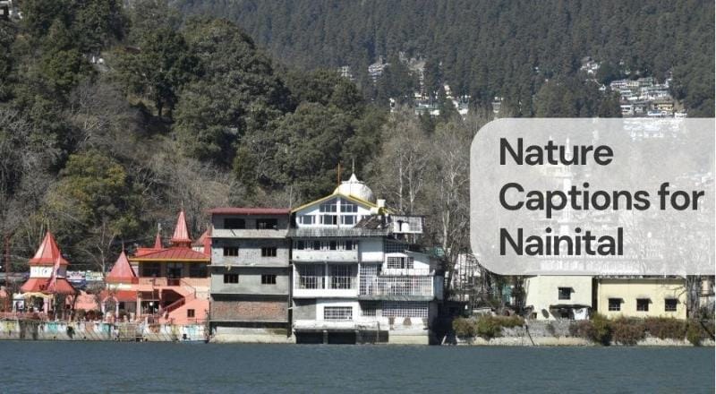 Nature captions for nainital