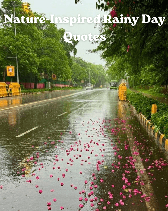 Nature inspired rainy day quotes 1 Nature inspired rainy day quotes