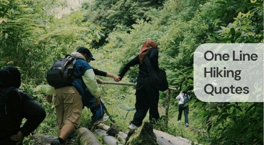 One line hiking quotes One line hiking quotes
