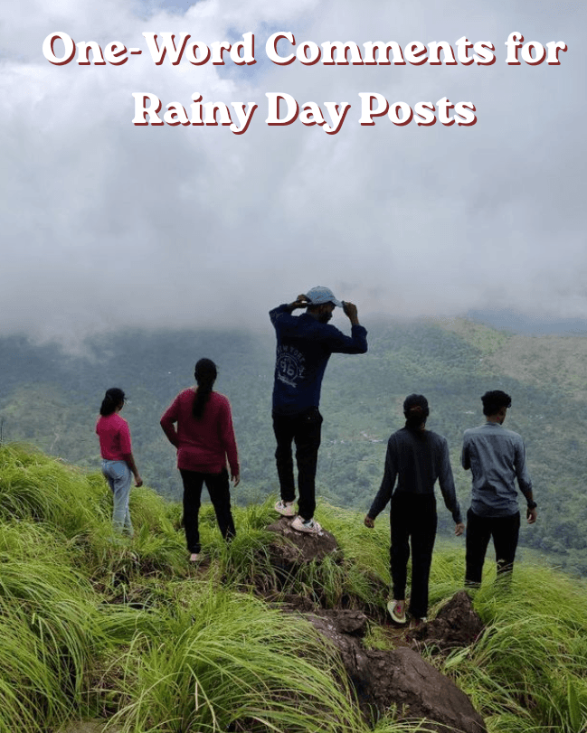 One word comments for rainy day posts