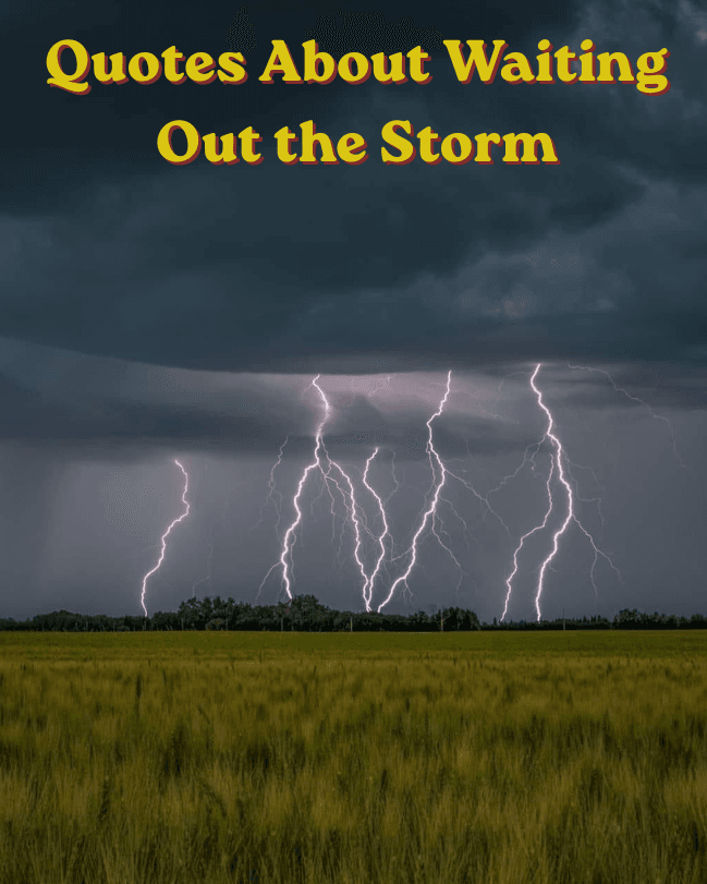 Quotes about waiting out the storm 1 Quotes about waiting out the storm