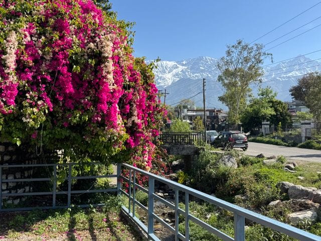 Romantic dharamshala captions Romantic dharamshala captions
