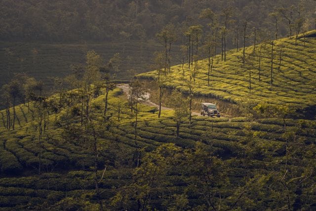 Romantic munnar captions