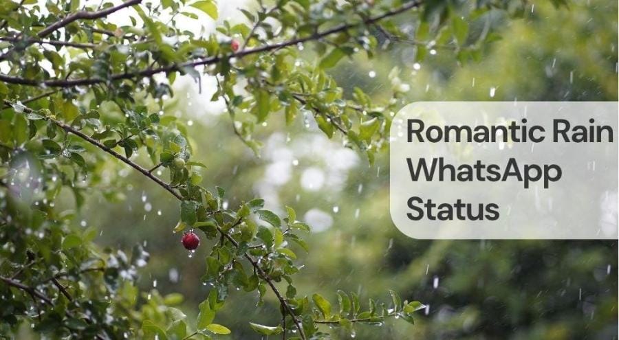 Romantic rain whatsapp status